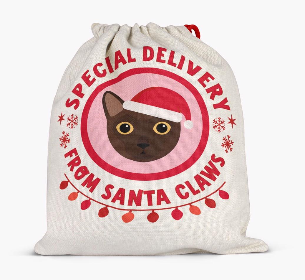 pecial Delivery: Personalised {breedCommonName} Santa Sack