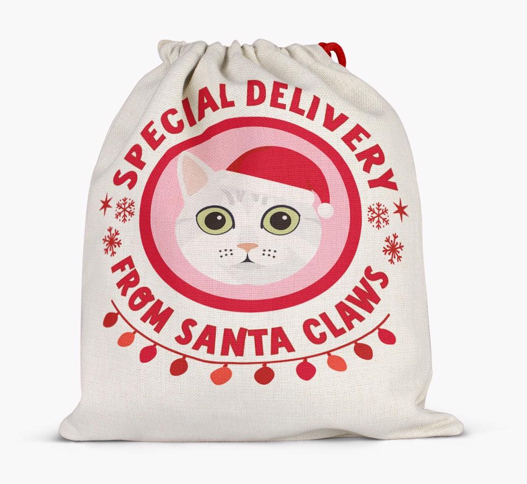 pecial Delivery: Personalised {breedCommonName} Santa Sack