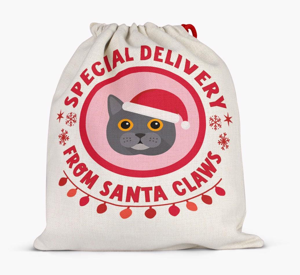 pecial Delivery: Personalised {breedCommonName} Santa Sack