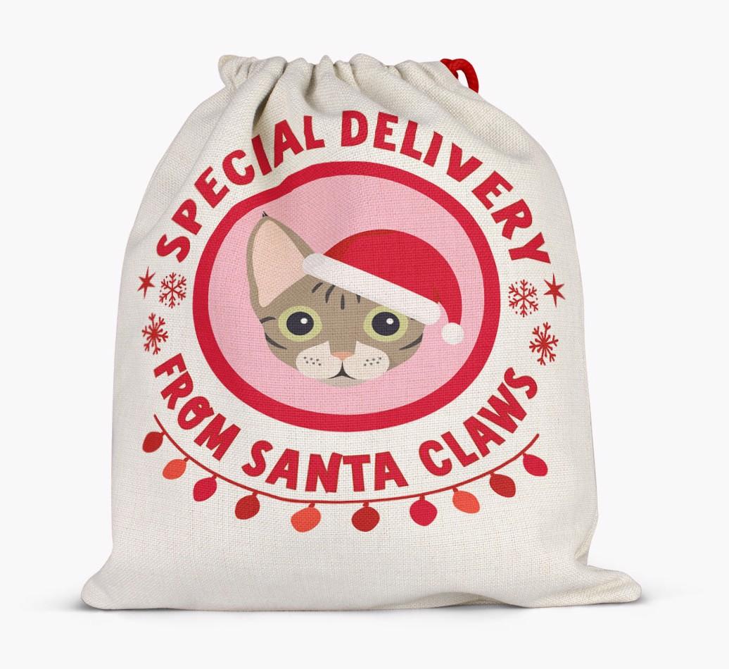 pecial Delivery: Personalised {breedCommonName} Santa Sack