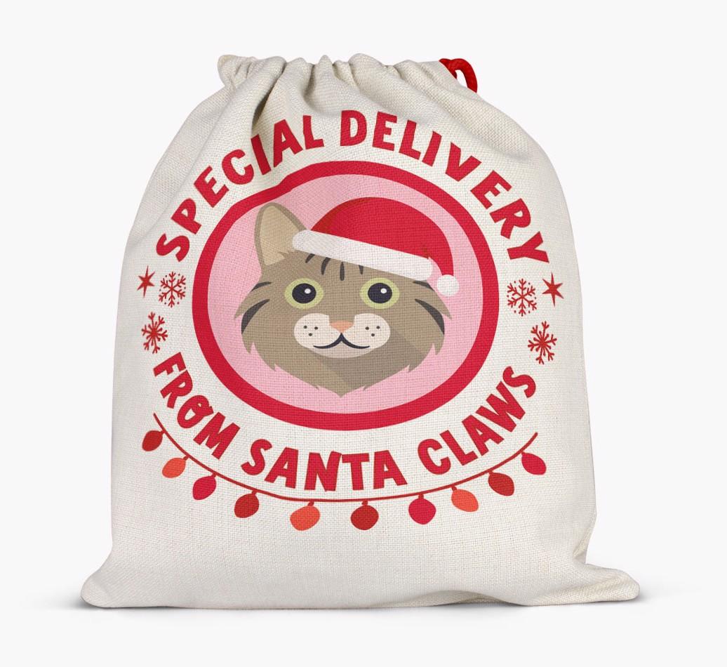 pecial Delivery: Personalised {breedCommonName} Santa Sack