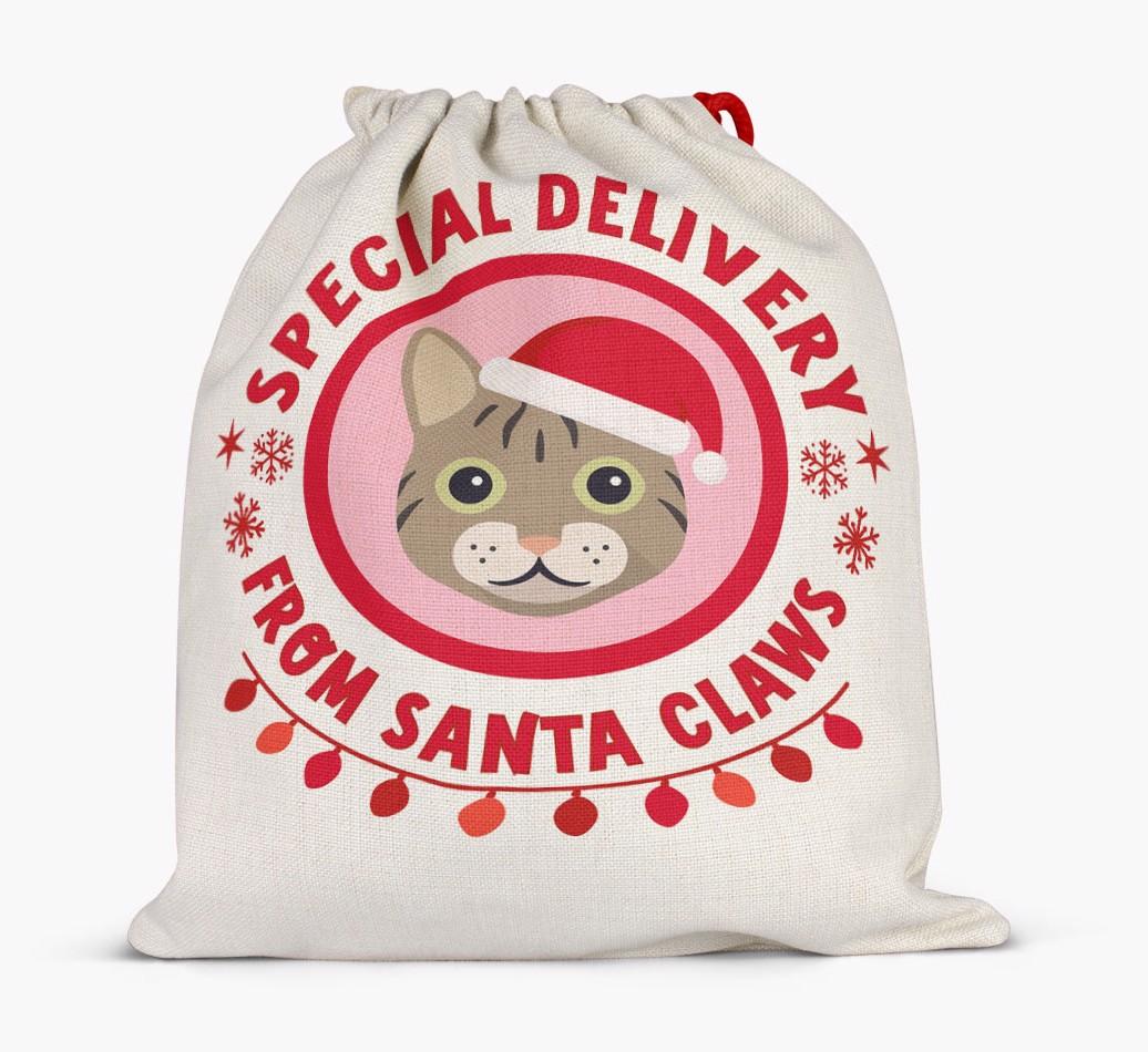 pecial Delivery: Personalised {breedCommonName} Santa Sack