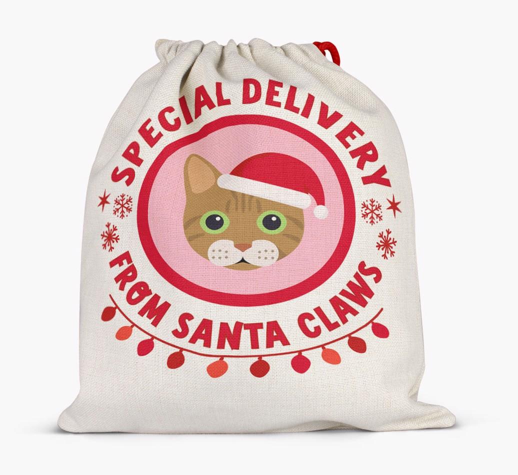 pecial Delivery: Personalised {breedCommonName} Santa Sack