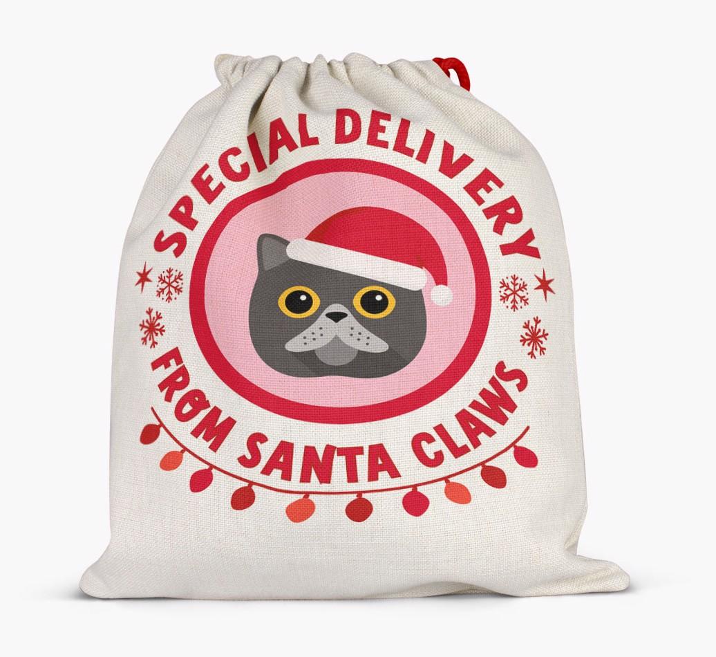 pecial Delivery: Personalised {breedCommonName} Santa Sack