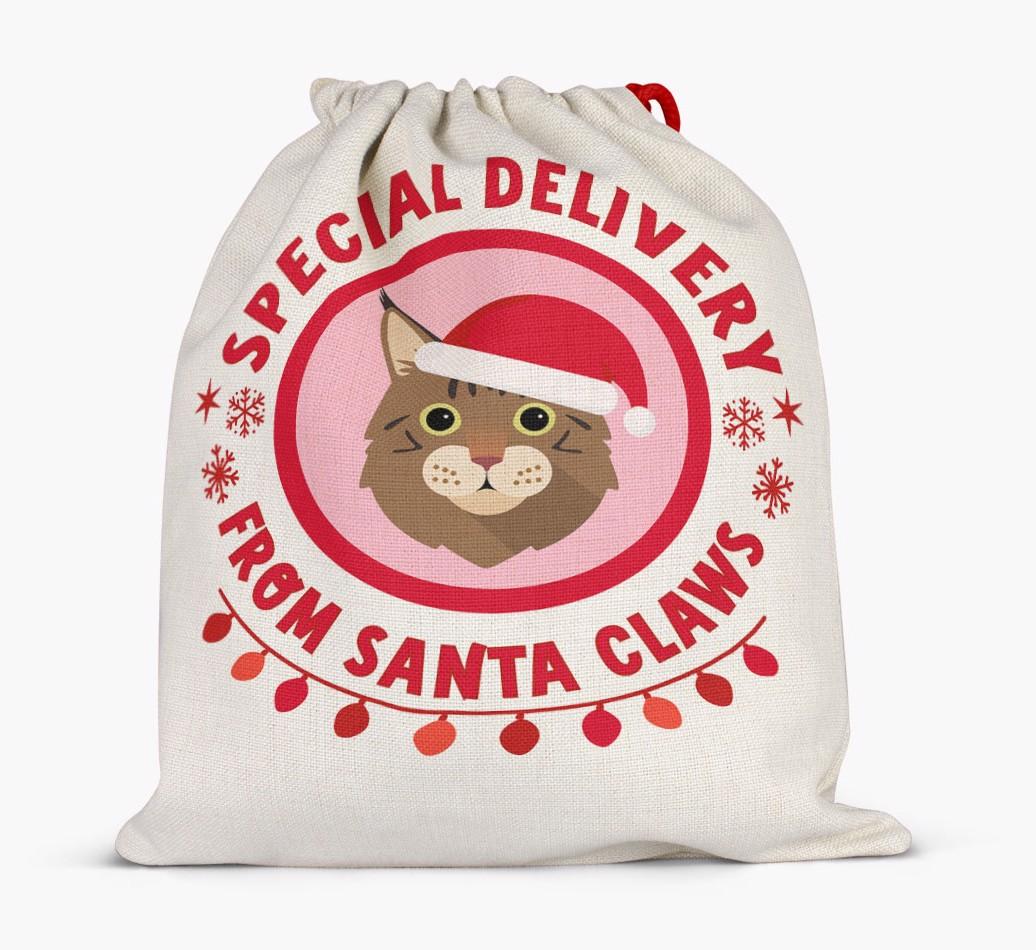 pecial Delivery: Personalised {breedCommonName} Santa Sack