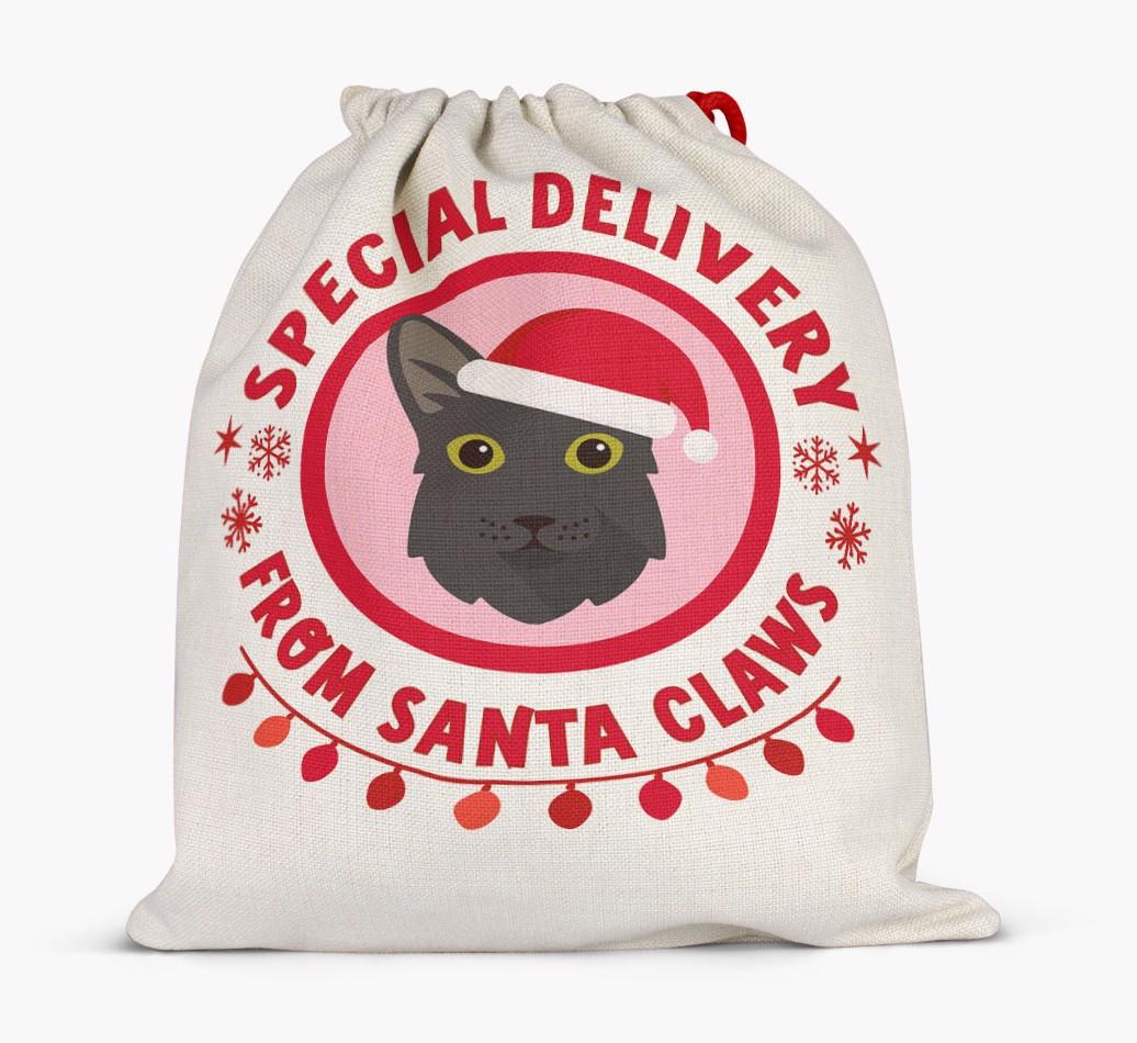 pecial Delivery: Personalised {breedCommonName} Santa Sack
