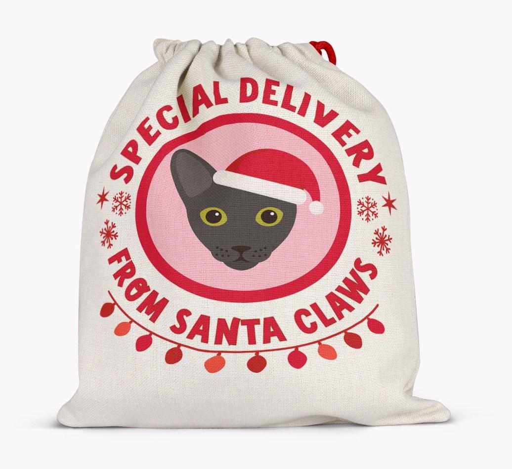 pecial Delivery: Personalised {breedCommonName} Santa Sack