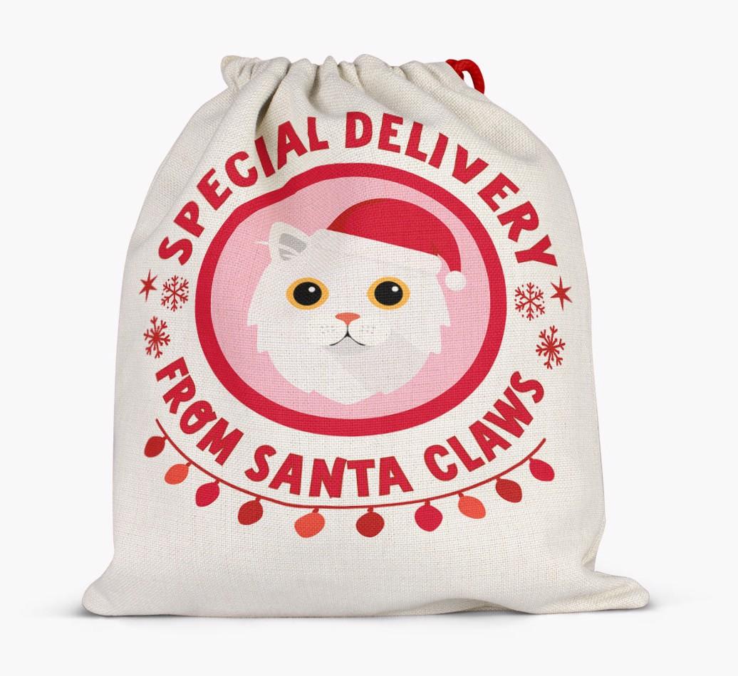 pecial Delivery: Personalised {breedCommonName} Santa Sack