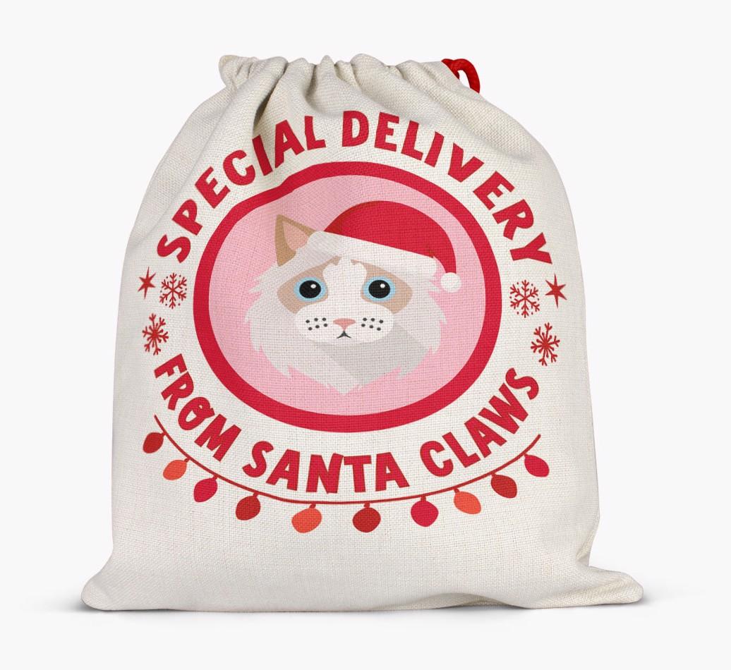 pecial Delivery: Personalised {breedCommonName} Santa Sack