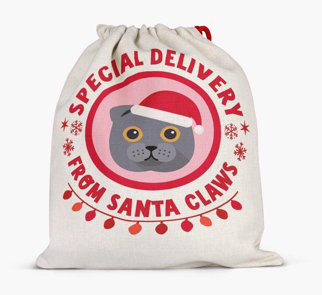 pecial Delivery: Personalised {breedCommonName} Santa Sack