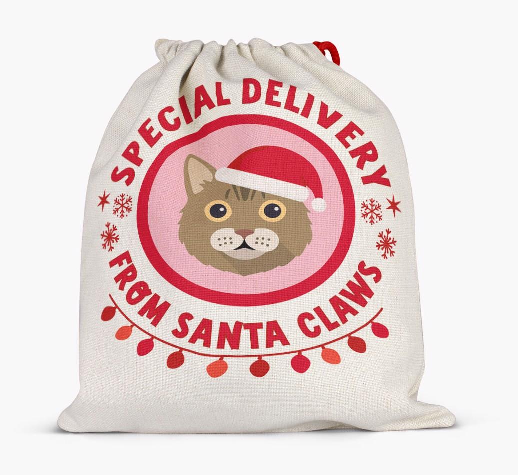 pecial Delivery: Personalised {breedCommonName} Santa Sack