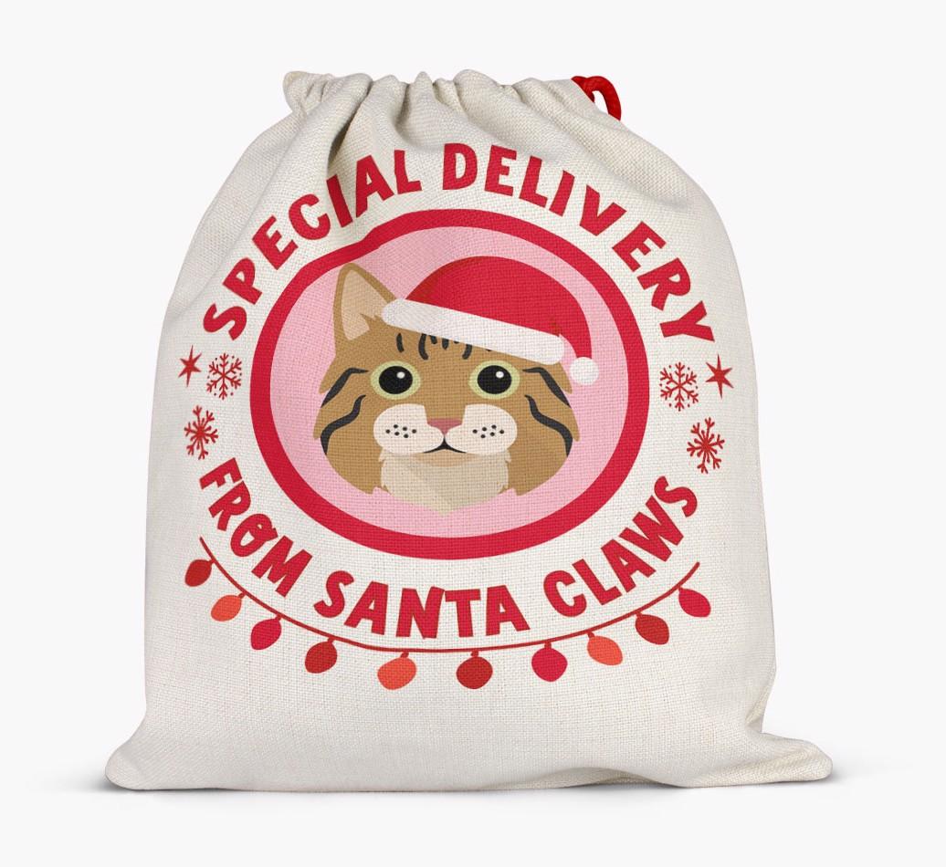 pecial Delivery: Personalised {breedCommonName} Santa Sack