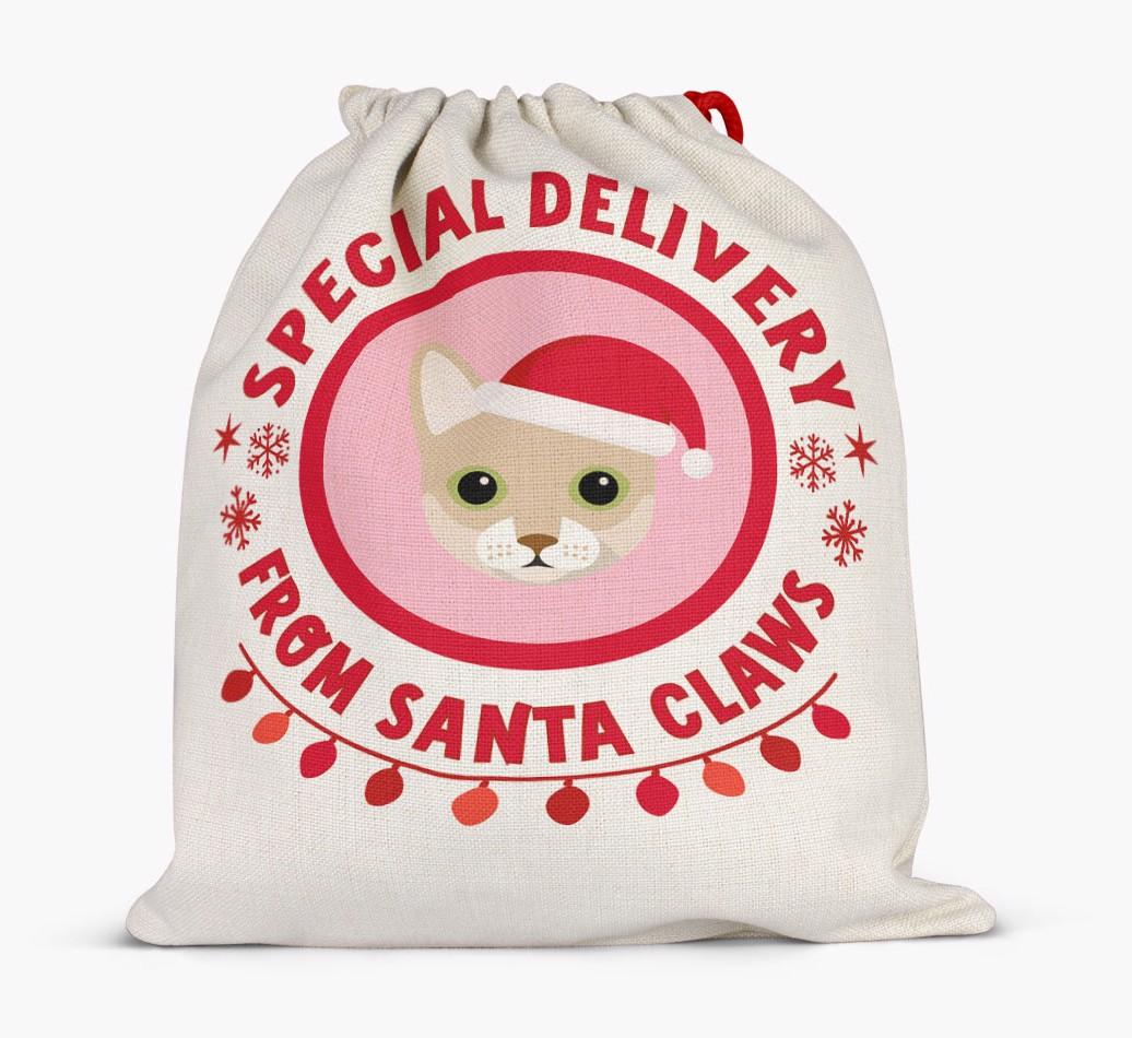 pecial Delivery: Personalised {breedCommonName} Santa Sack