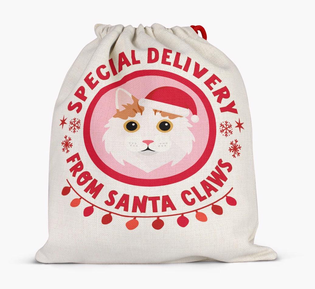 pecial Delivery: Personalised {breedCommonName} Santa Sack
