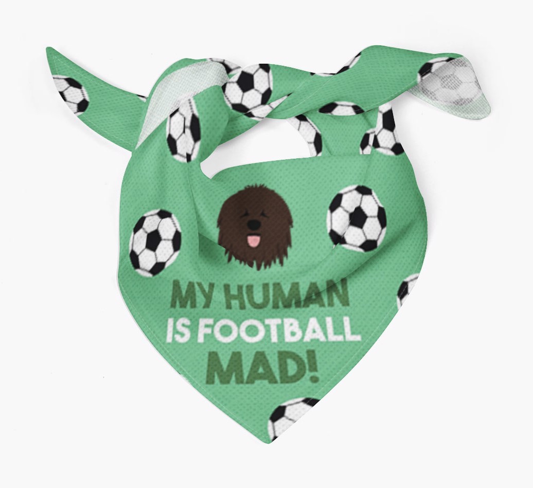 My Human Is Football Mad: Personalised {breedFullName} Bandana