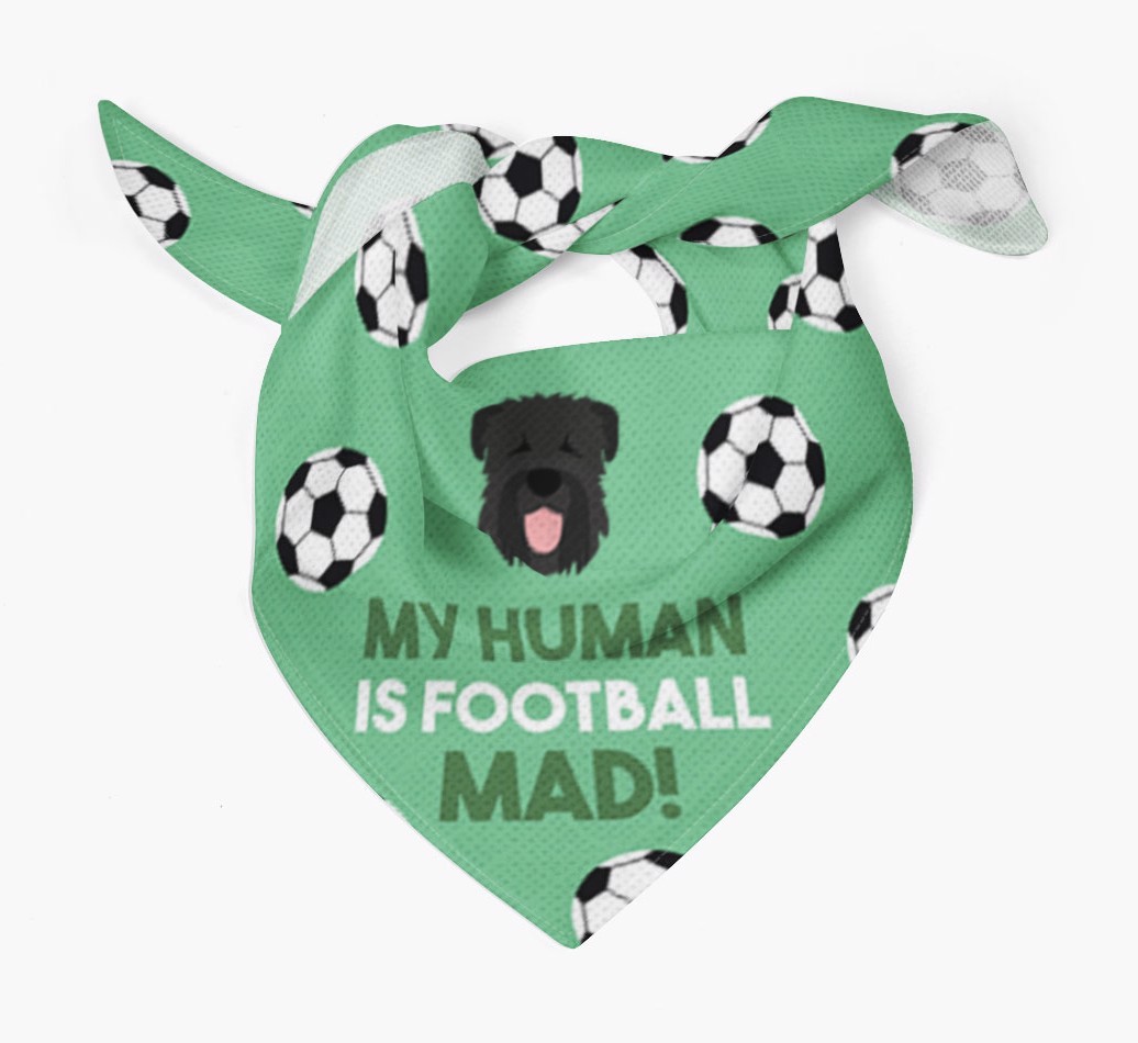 My Human Is Football Mad: Personalised {breedFullName} Bandana