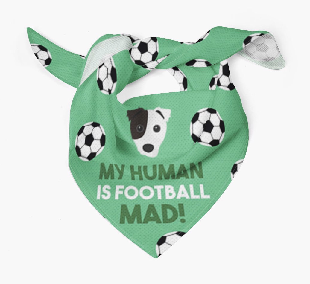 My Human Is Football Mad: Personalised {breedFullName} Bandana
