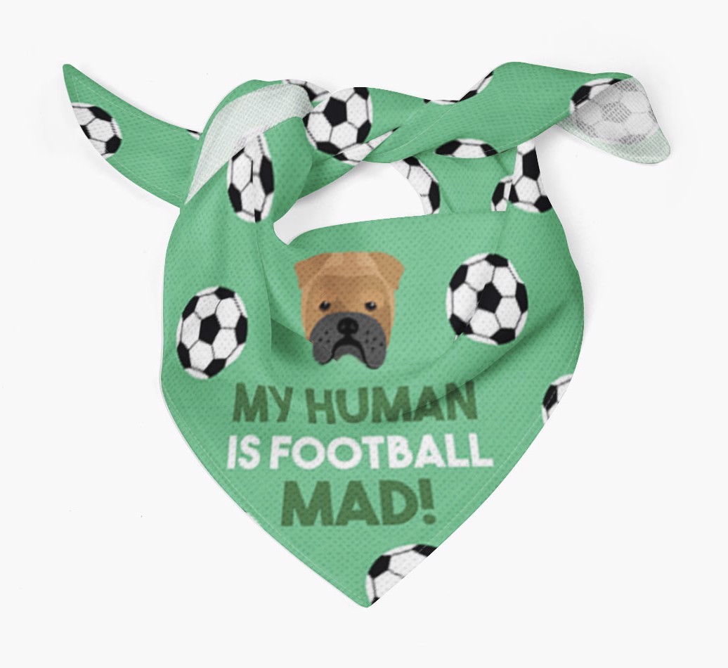 My Human Is Football Mad: Personalised {breedFullName} Bandana