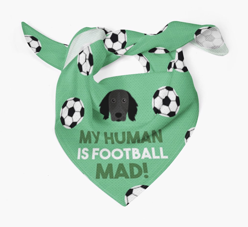 My Human Is Football Mad: Personalised {breedFullName} Bandana