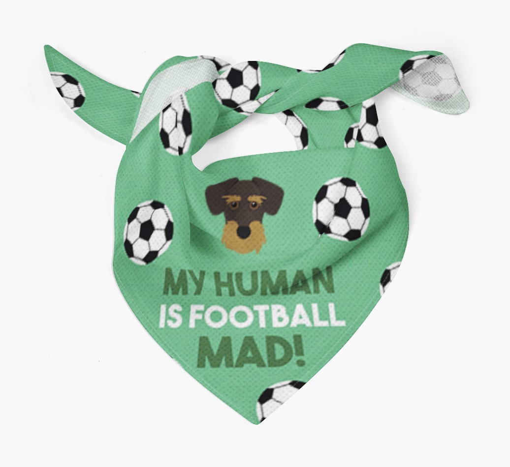 My Human Is Football Mad: Personalised {breedFullName} Bandana