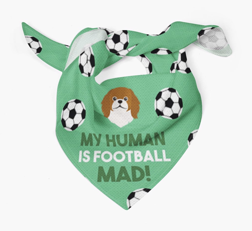 My Human Is Football Mad: Personalised {breedFullName} Bandana