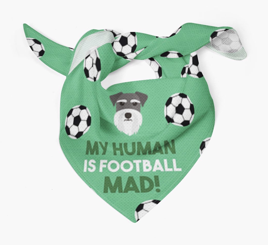 My Human Is Football Mad: Personalised {breedFullName} Bandana