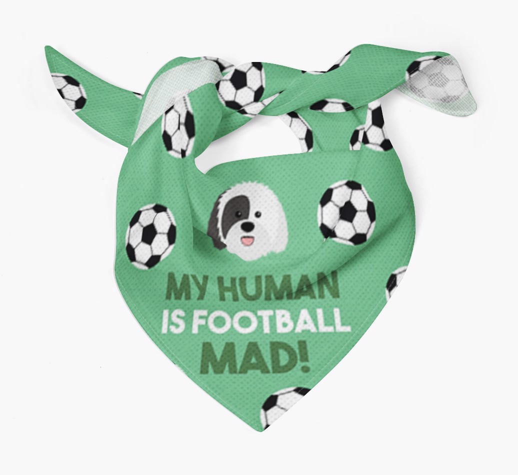 My Human Is Football Mad: Personalised {breedFullName} Bandana