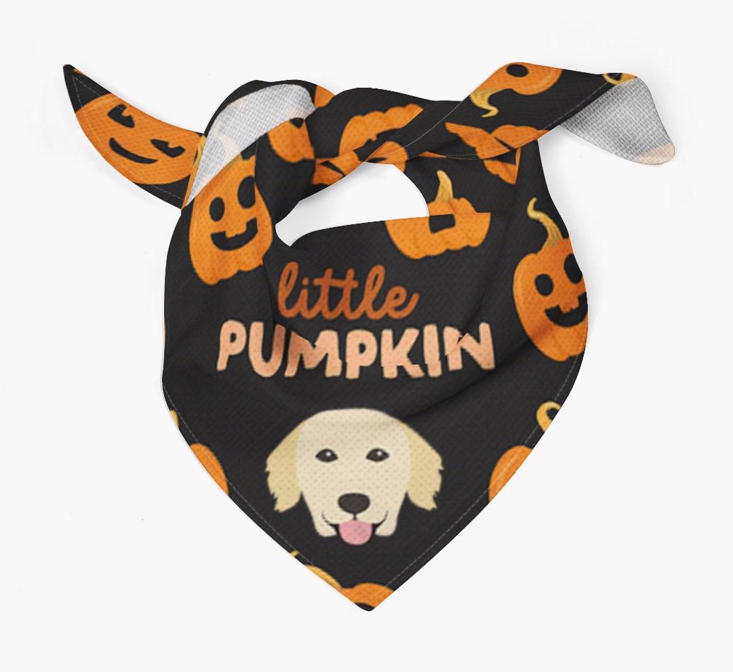Personalized 'Little Pumpkin' Bandana for your {breedFullName}
