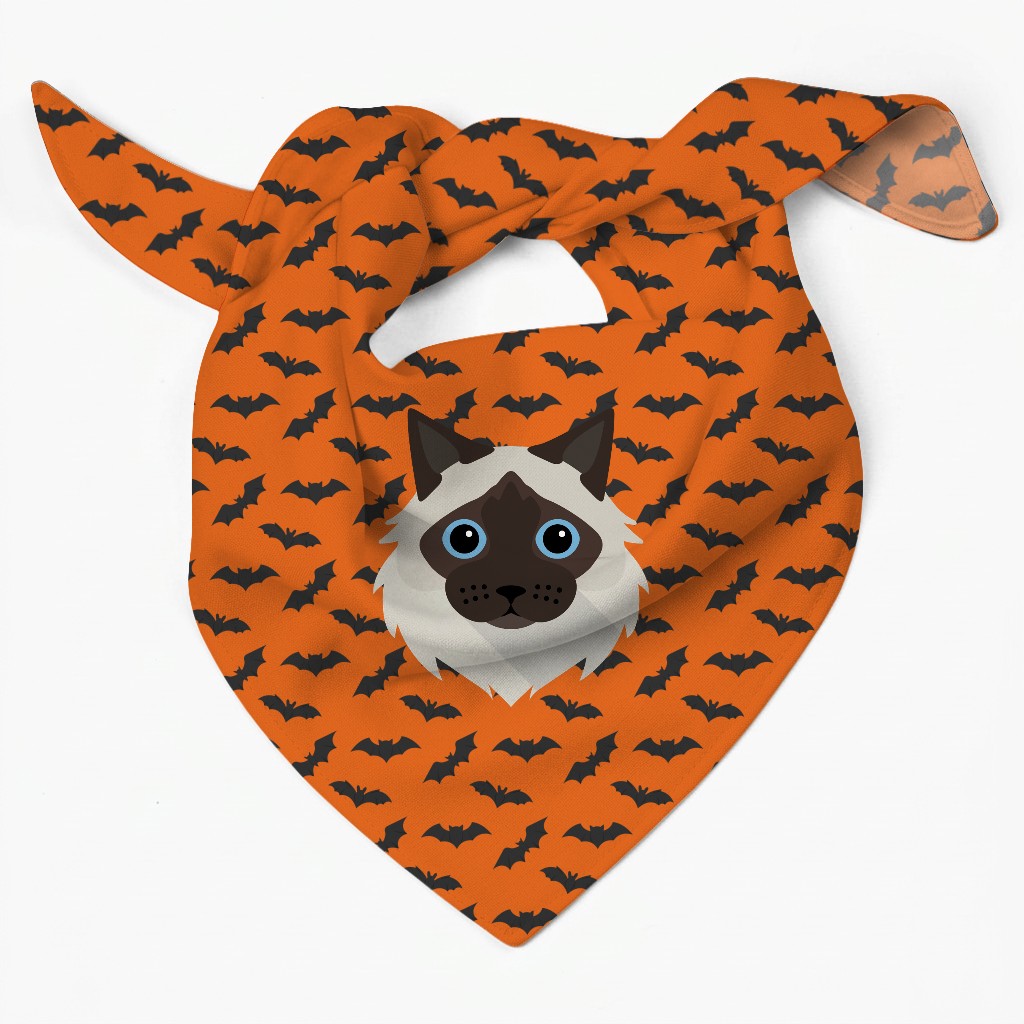 Halloween Cat Gifts