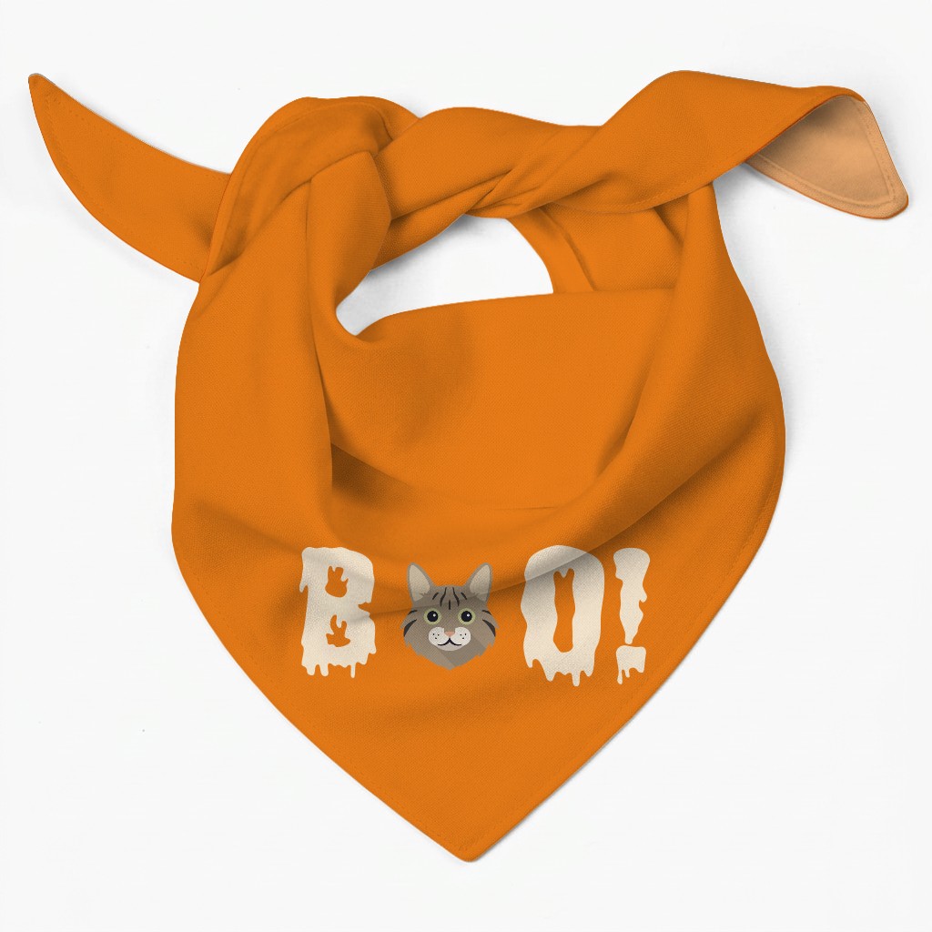 Personalised Domestic Long Hair Halloween Gifts