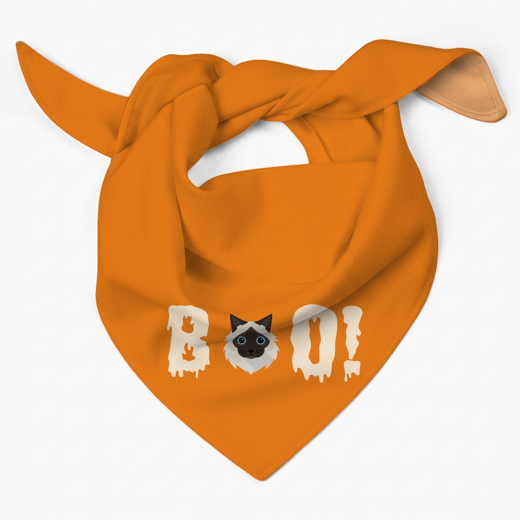 Personalized Cat Halloween Gifts