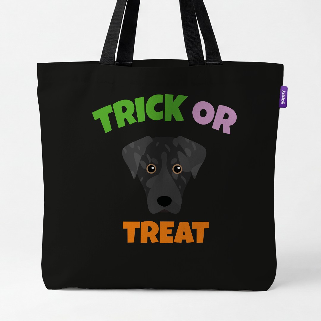 Personalized American Leopard Hound Halloween Gifts