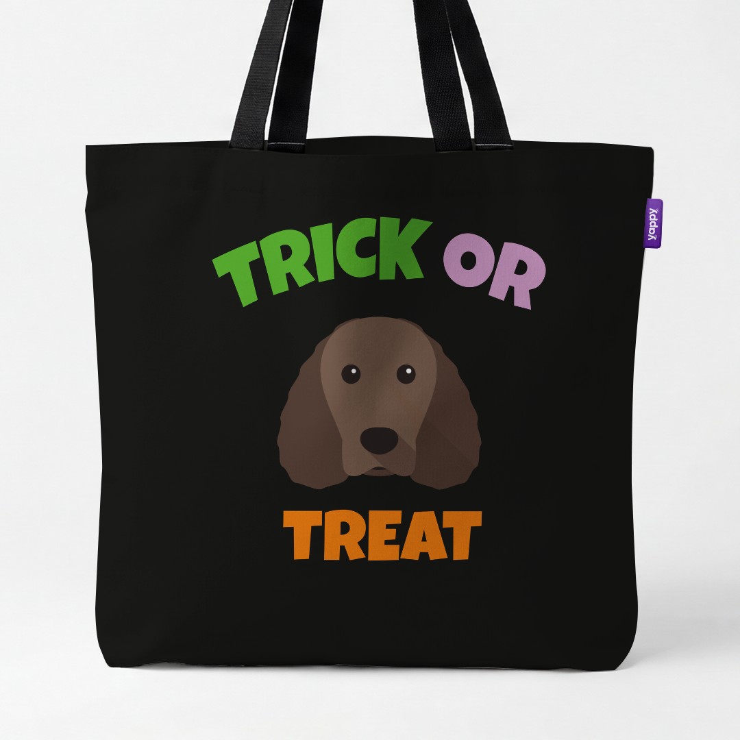 Personalized American Water Spaniel Halloween Gifts