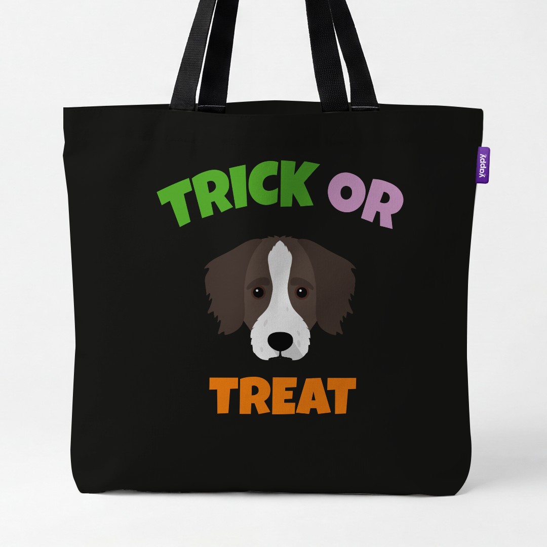 Personalized Bordoodle Halloween Gifts