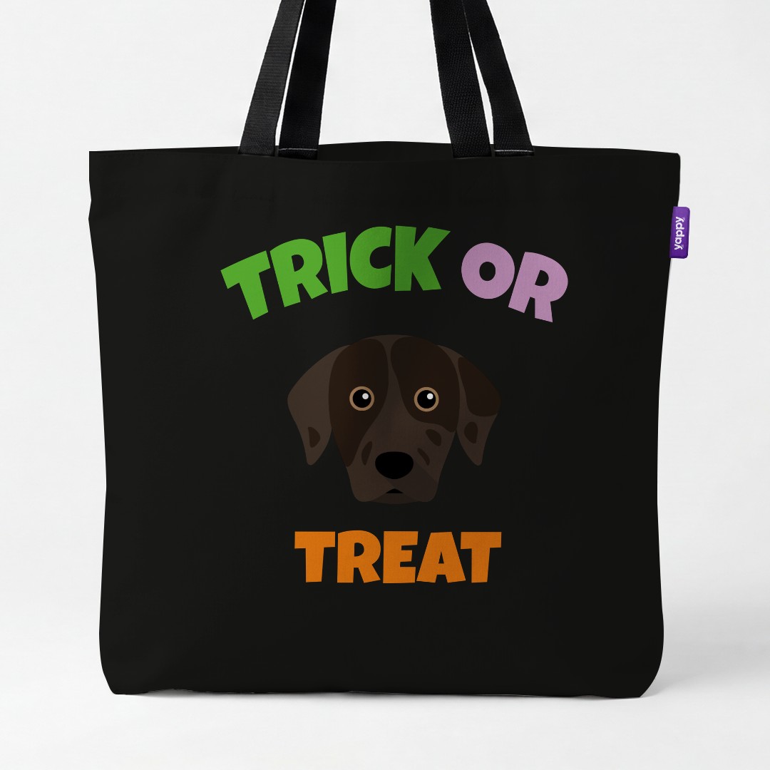Personalized Catahoula Leopard Dog Halloween Gifts
