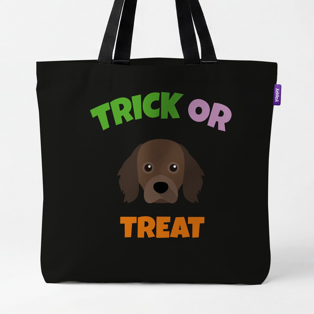 Personalized Cavapom Halloween Gifts