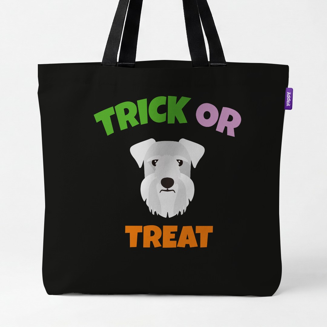 Personalized Cesky Terrier Halloween Gifts