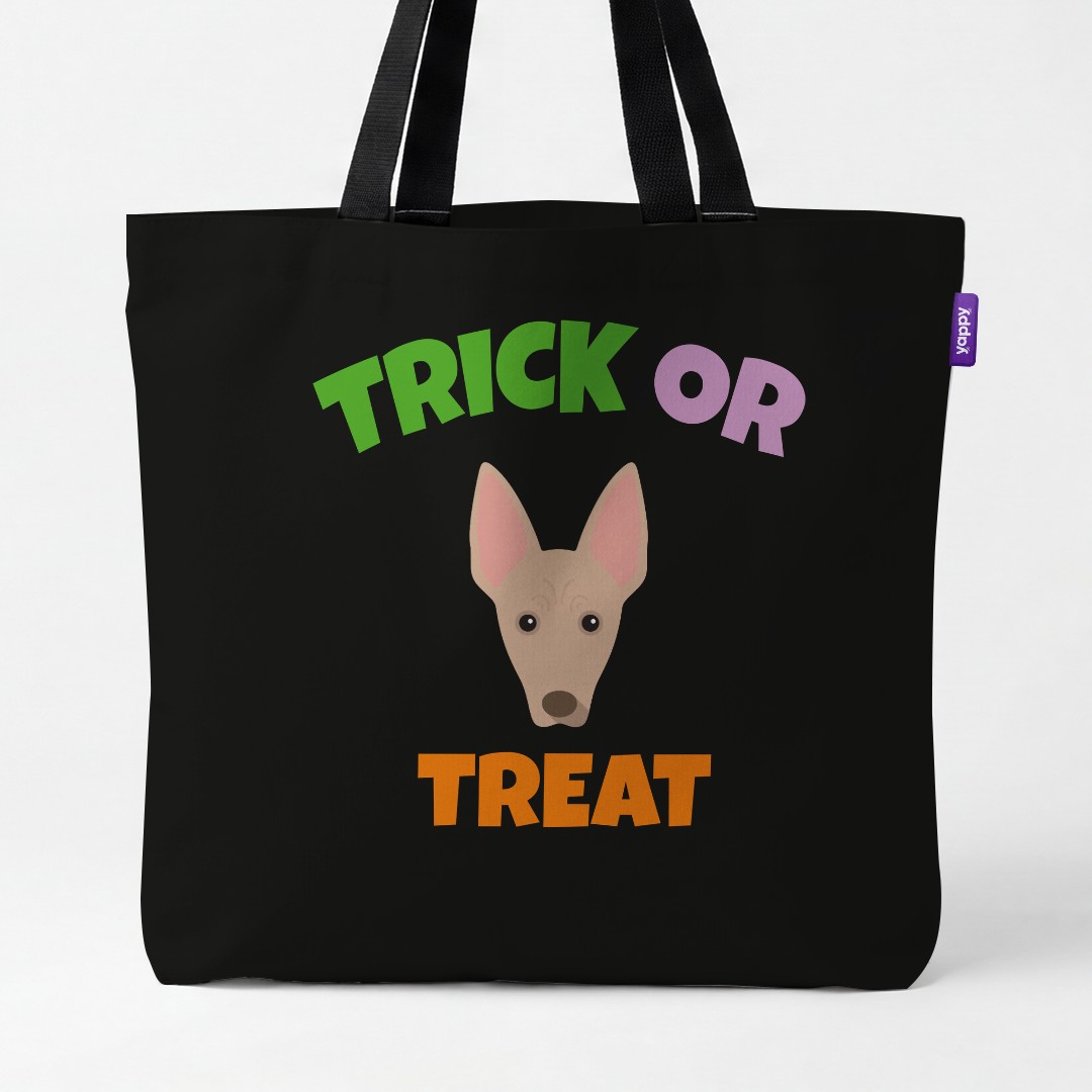 Personalized Cirneco Dell'Etna Halloween Gifts