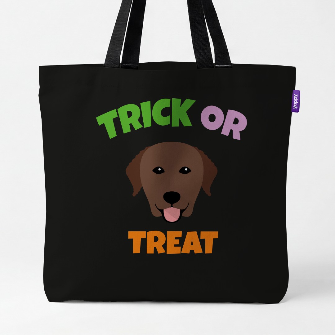 Personalized Curly Coated Retriever Halloween Gifts