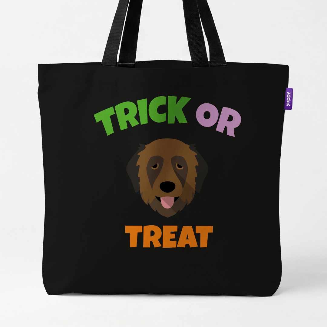 Personalized Estrela Mountain Dog Halloween Gifts