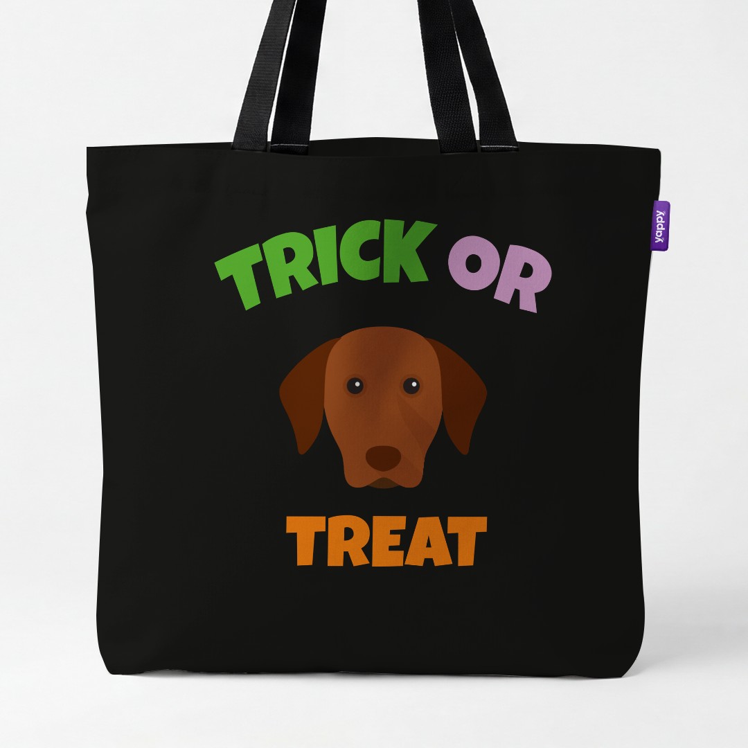 Personalized Hungarian Vizsla Halloween Gifts