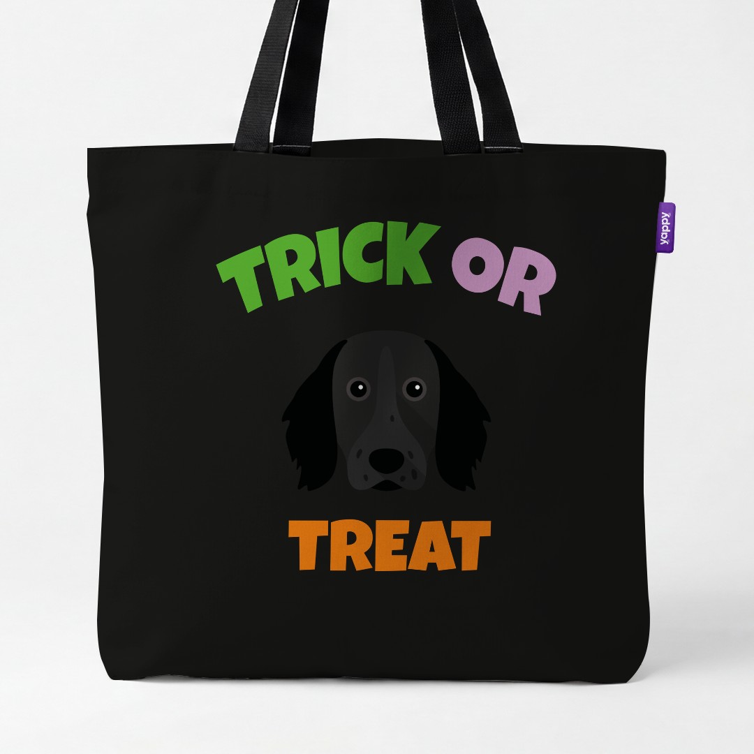 Personalized Large Munsterlander Halloween Gifts