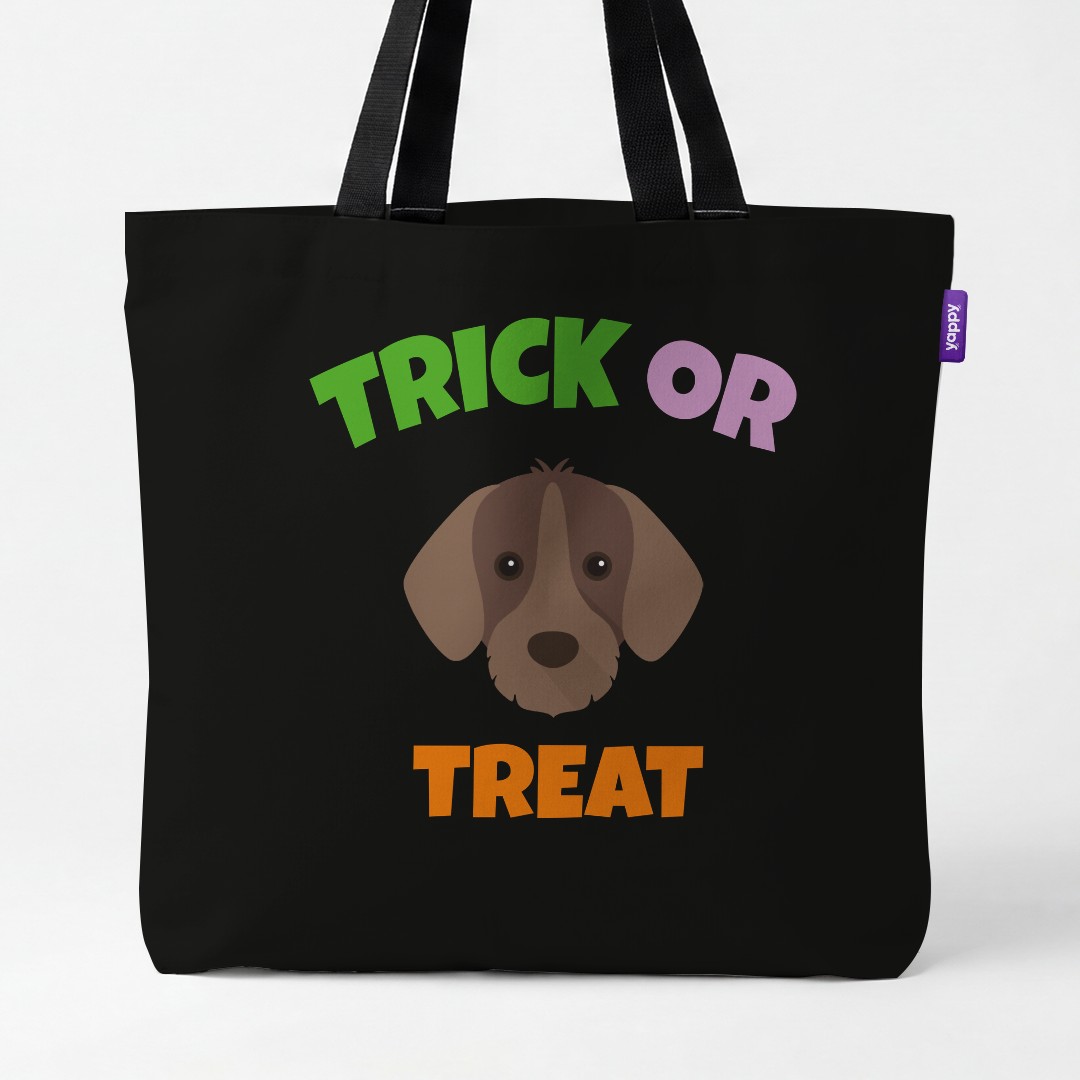 Personalized Slovakian Rough Haired Pointer Halloween Gifts