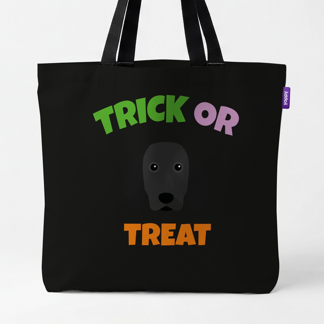 Personalized Small Munsterlander Halloween Gifts