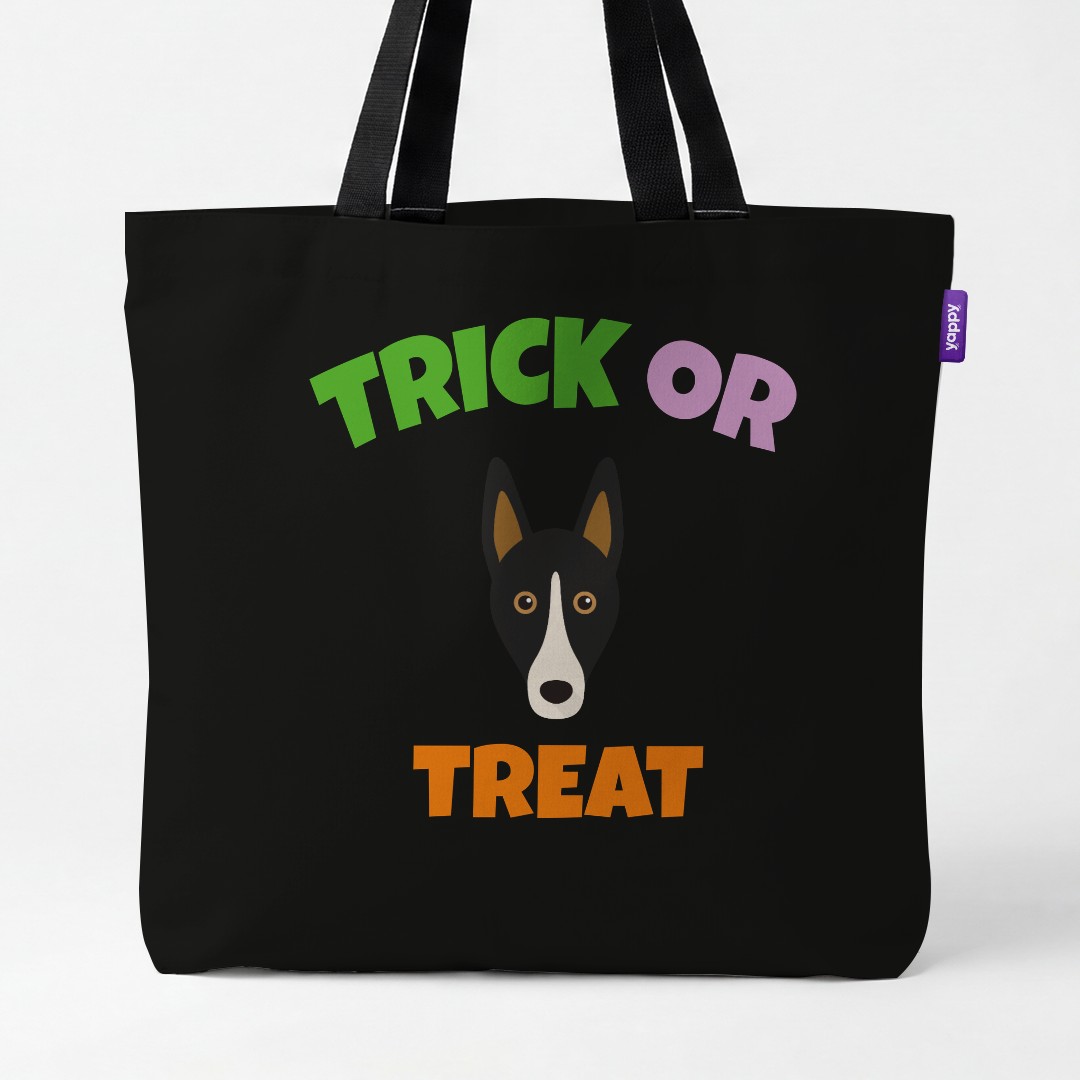 Personalized Smooth Collie Halloween Gifts