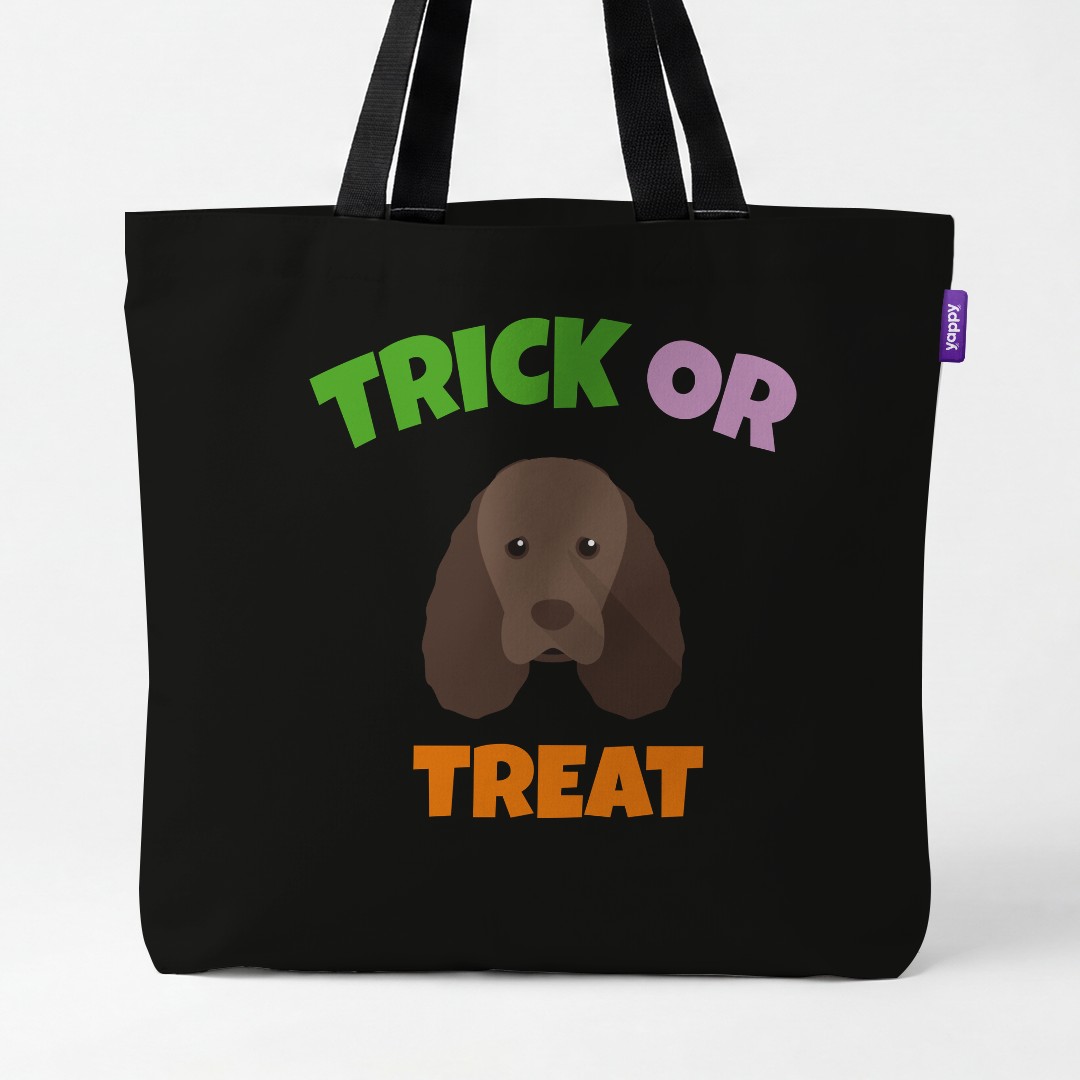 Personalized Sussex Spaniel Halloween Gifts