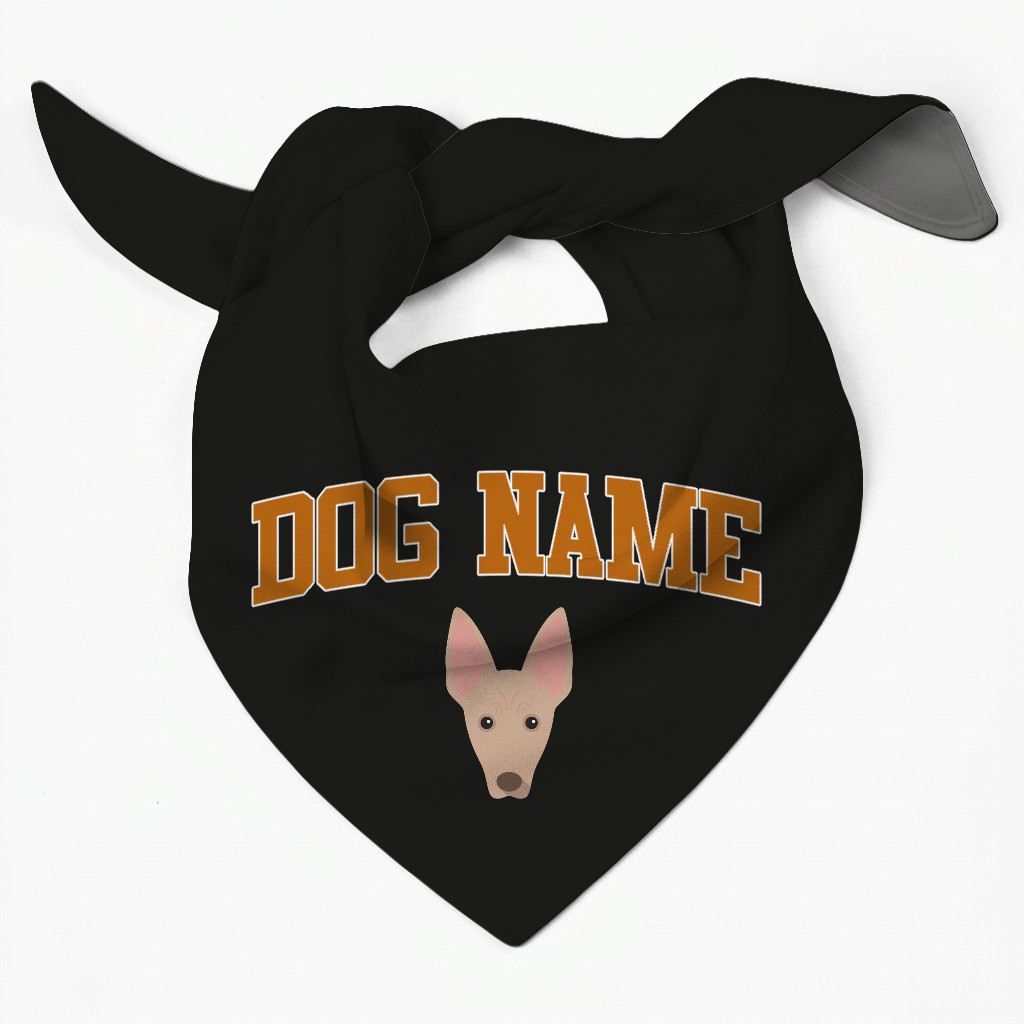 Campus Paws: Personalized {breedFullName} Bandana
