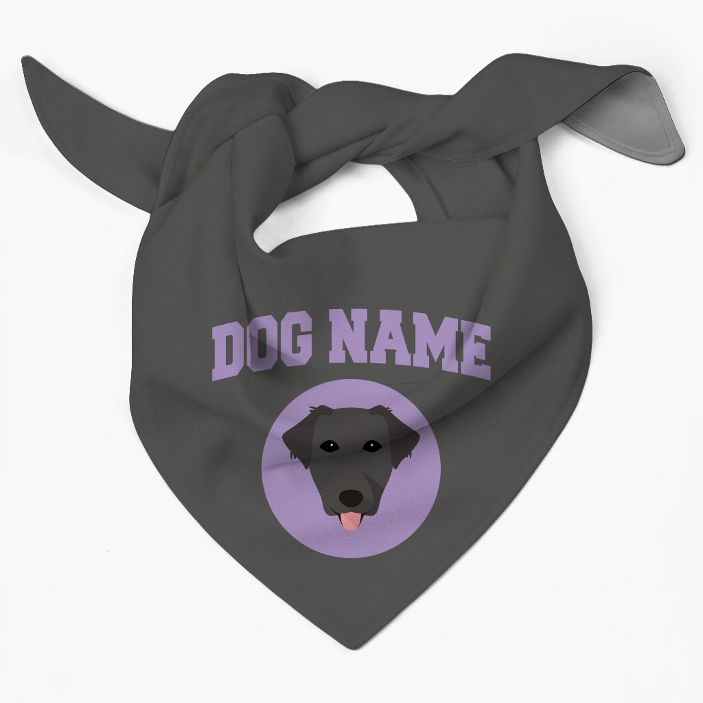 Stick Fetching Coaching Team: Personalized {breedFullName} Bandana