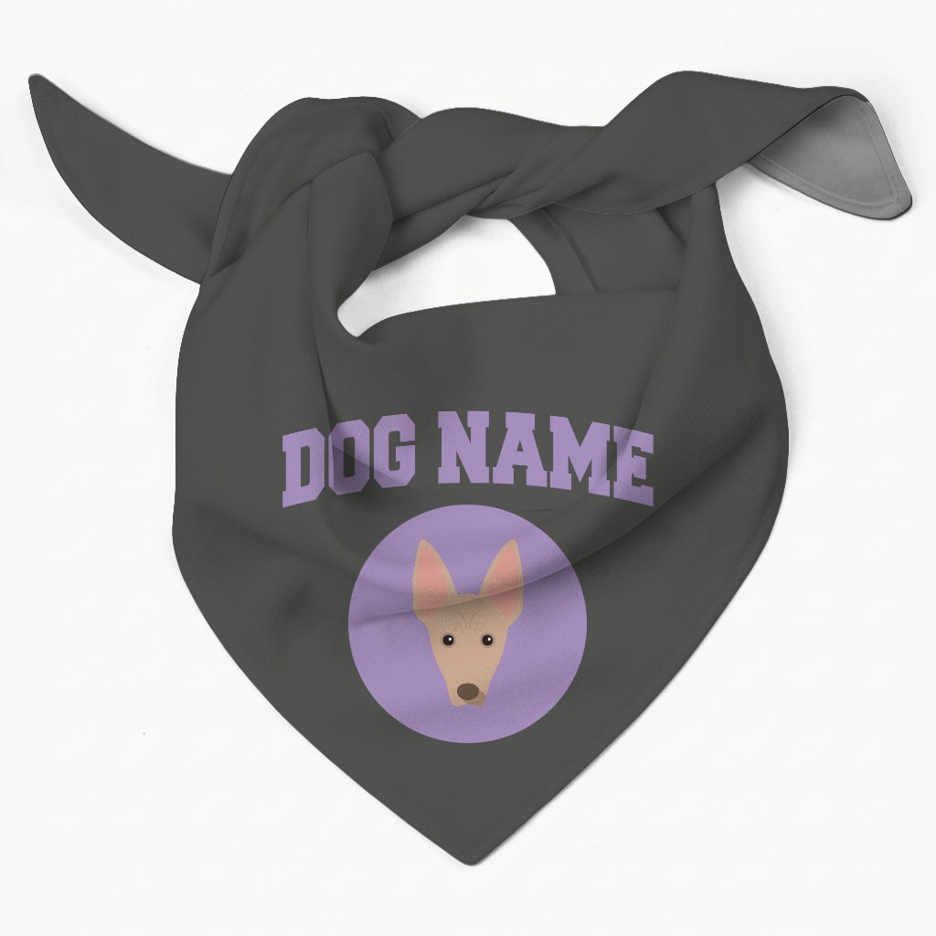 Stick Fetching Coaching Team: Personalized {breedFullName} Bandana