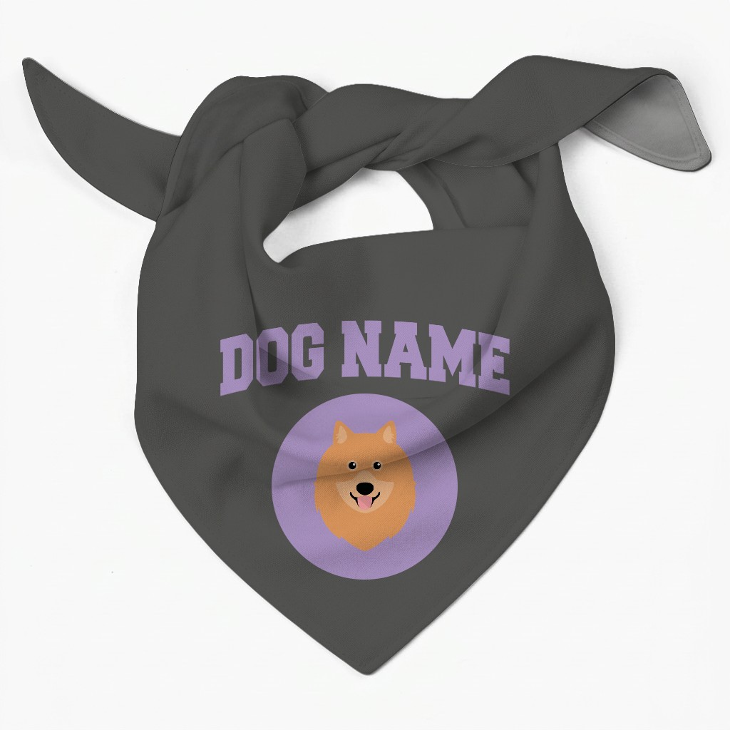 Stick Fetching Coaching Team: Personalized {breedFullName} Bandana